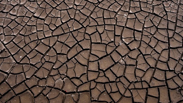 Phoenix Battles Environmental Challenges: Air Quality, Water Scarcity, and Heat