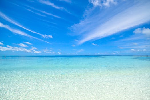 Discover Phoenix's Thriving Yoga Scene: Perfect for All Levels